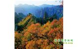 長沙往返張家界、天子山、寶峰湖/黃龍洞三日游