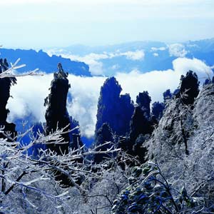 LD線：張家界、天子山、楊家界、猛洞河漂流純玩四日游