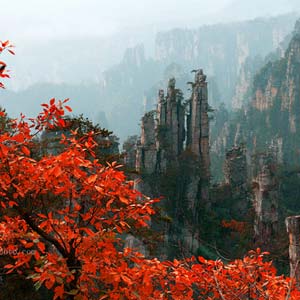 休閑自駕E線：張家界、袁家界、天子山、寶峰湖、鳳凰古城、沱江泛舟四晚五日游